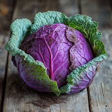 Purple Cabbage